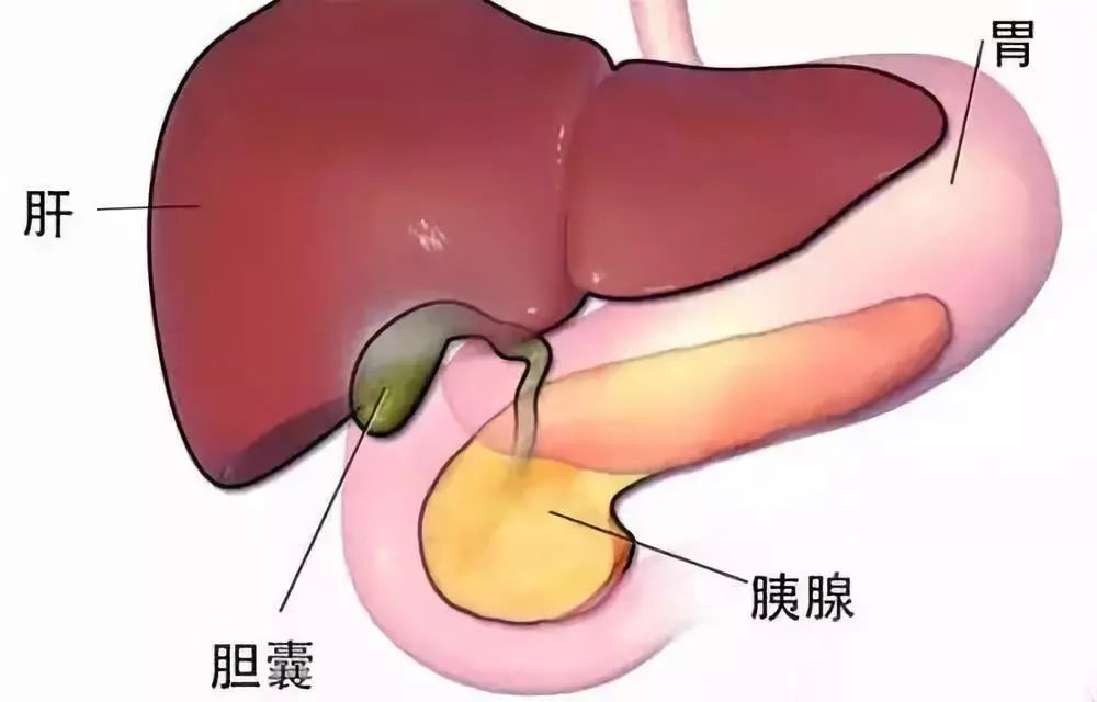 柠檬为何心酸 第4页