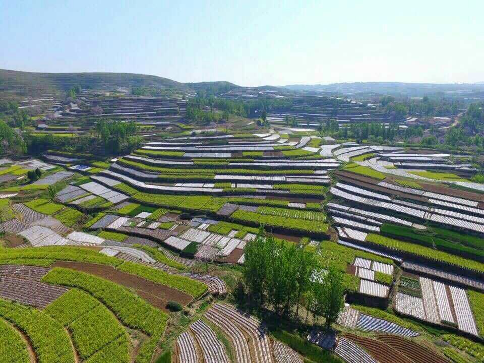 虎头崖镇新项目，引领地区发展的强大动力之源