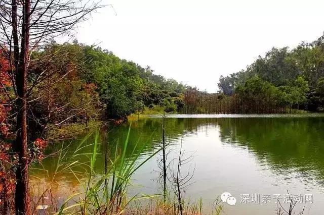 大沙河林场天气预报更新通知