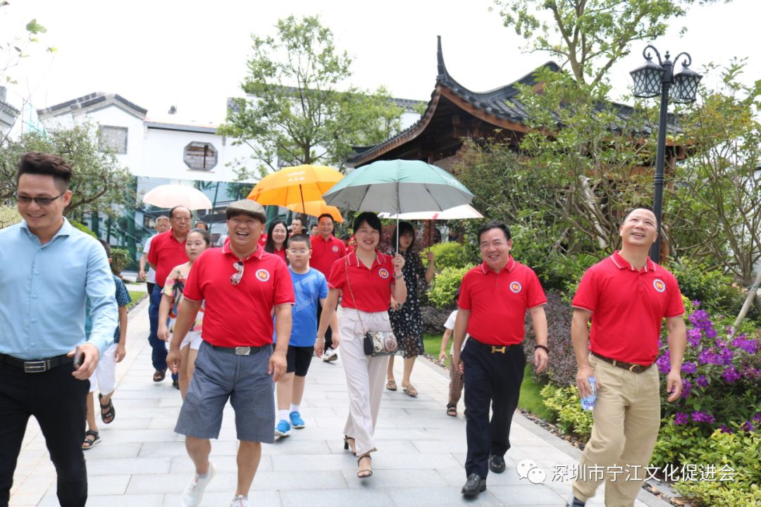 叶塘镇新项目，引领地方发展的璀璨明珠之光