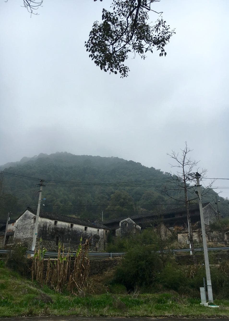 宝祝村天气预报更新通知