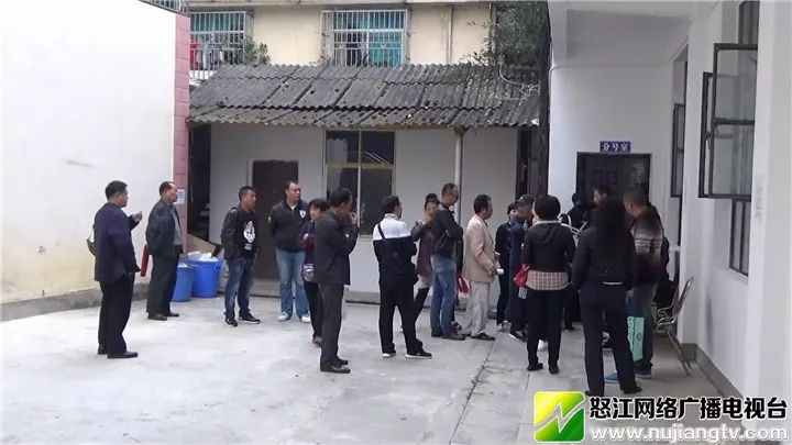 古冶区殡葬事业单位最新动态，改革与进步推动下的新篇章